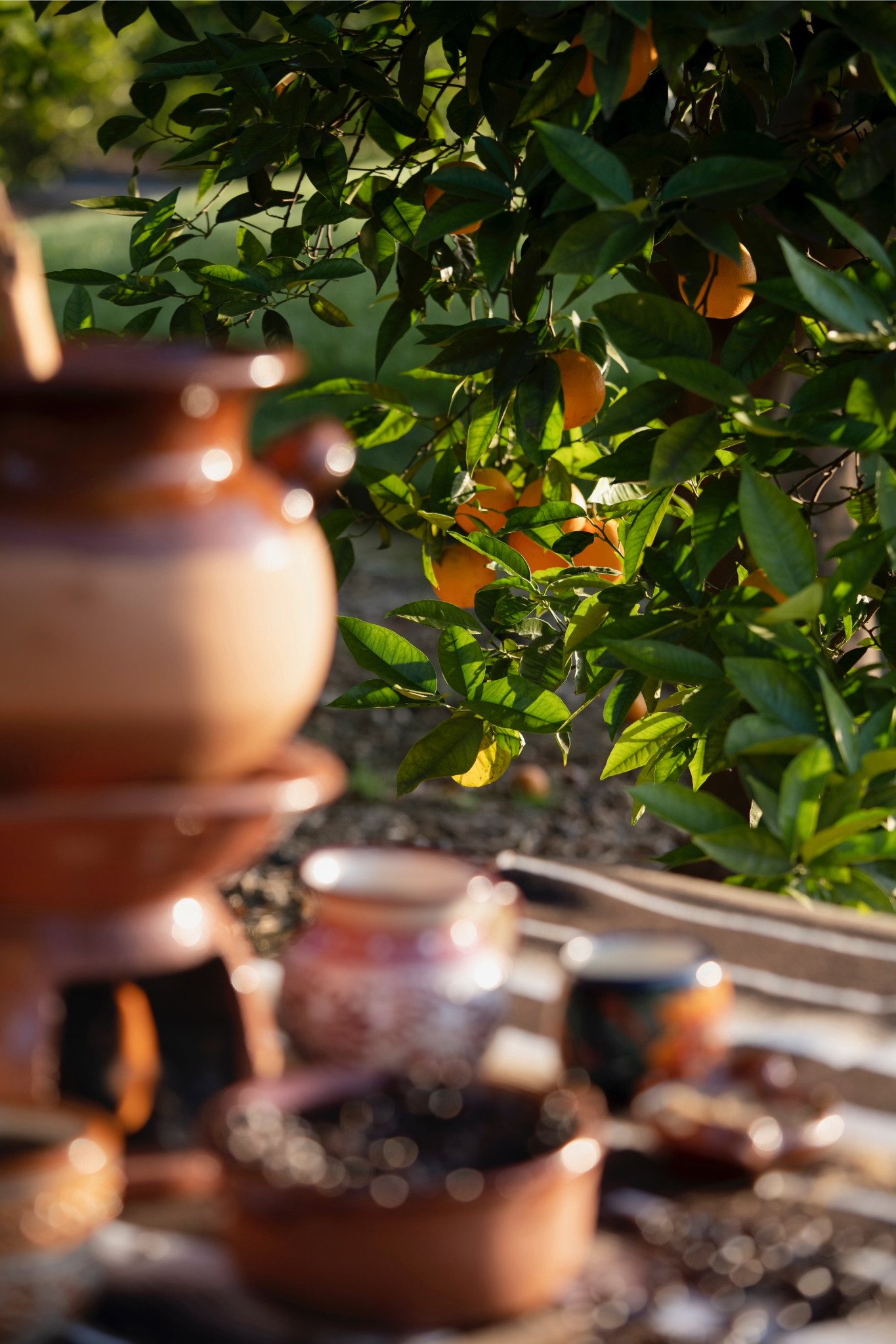 Cafe de Olla